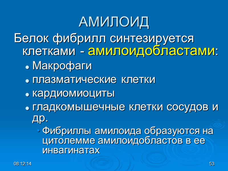 АМИЛОИД Белок фибрилл синтезируется клетками - амилоидобластами:  Макрофаги плазматические клетки кардиомиоциты гладкомышечные клетки